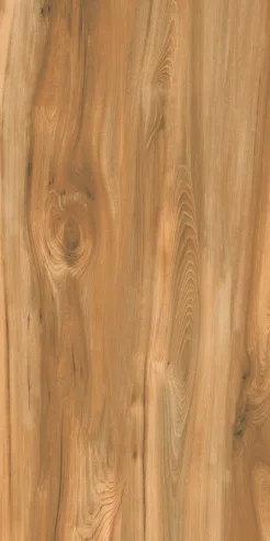 FOREST WOOD NATURAL porcelain tile